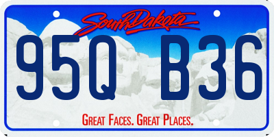 SD license plate 95QB36