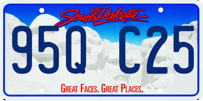 SD license plate 95QC25