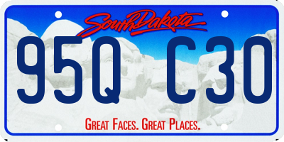 SD license plate 95QC30