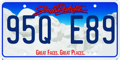 SD license plate 95QE89