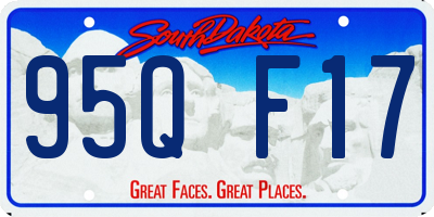 SD license plate 95QF17