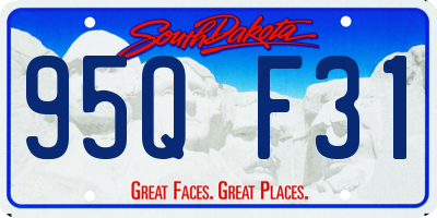 SD license plate 95QF31