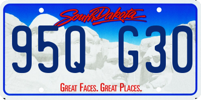 SD license plate 95QG30