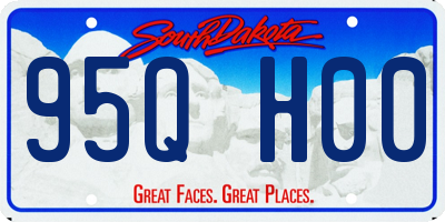 SD license plate 95QH00