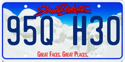 SD license plate 95QH30