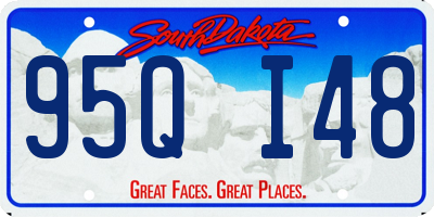 SD license plate 95QI48