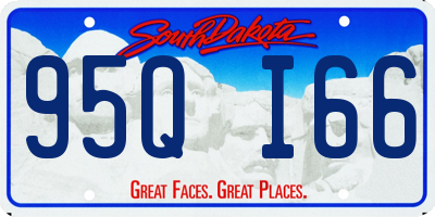 SD license plate 95QI66
