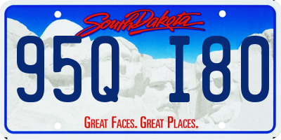SD license plate 95QI80