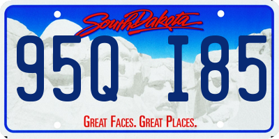 SD license plate 95QI85