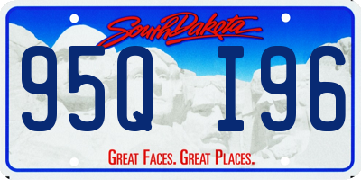 SD license plate 95QI96