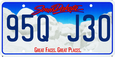 SD license plate 95QJ30