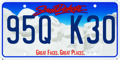 SD license plate 95QK30