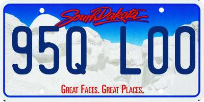 SD license plate 95QL00