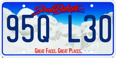 SD license plate 95QL30