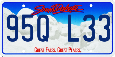 SD license plate 95QL33