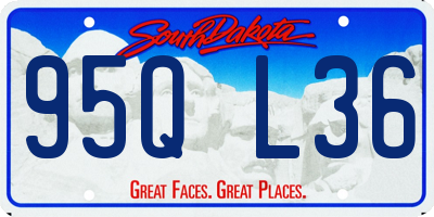 SD license plate 95QL36