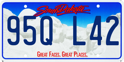 SD license plate 95QL42