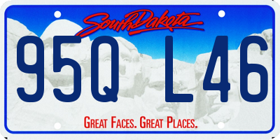 SD license plate 95QL46
