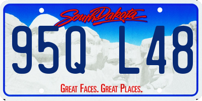 SD license plate 95QL48