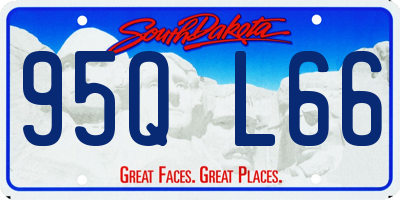 SD license plate 95QL66