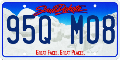 SD license plate 95QM08