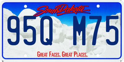 SD license plate 95QM75