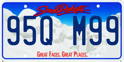 SD license plate 95QM99