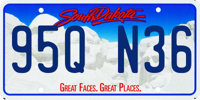 SD license plate 95QN36
