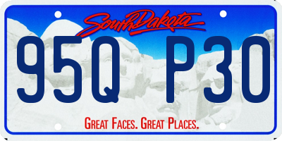 SD license plate 95QP30