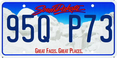 SD license plate 95QP73
