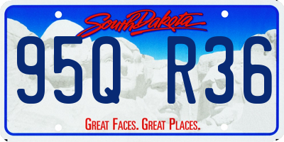SD license plate 95QR36