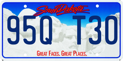 SD license plate 95QT30