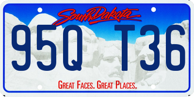 SD license plate 95QT36