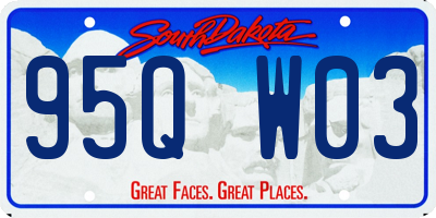 SD license plate 95QW03