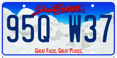 SD license plate 95QW37