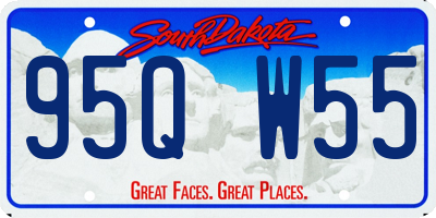 SD license plate 95QW55