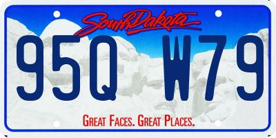 SD license plate 95QW79