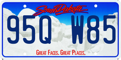 SD license plate 95QW85