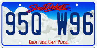 SD license plate 95QW96