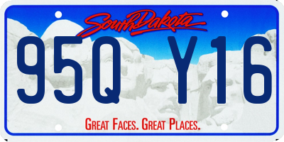 SD license plate 95QY16