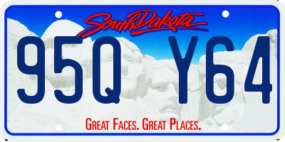 SD license plate 95QY64