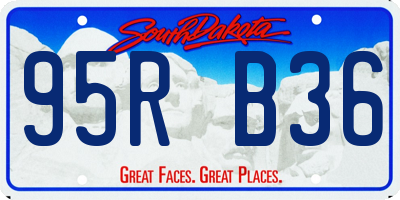 SD license plate 95RB36