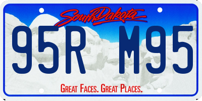 SD license plate 95RM95