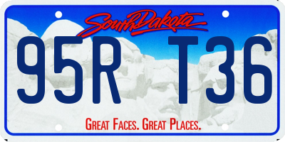 SD license plate 95RT36
