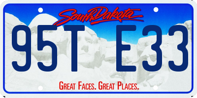 SD license plate 95TE33