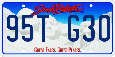 SD license plate 95TG30