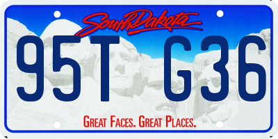 SD license plate 95TG36