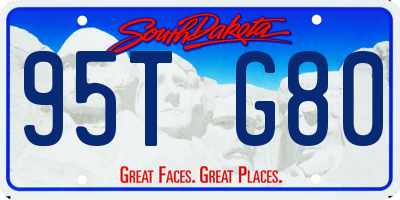 SD license plate 95TG80