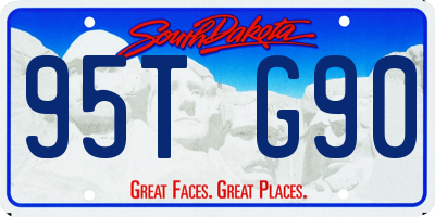 SD license plate 95TG90