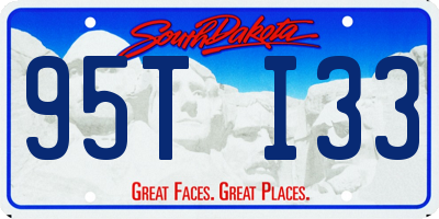 SD license plate 95TI33